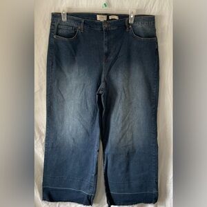 LOGO by Lori Goldstein Dark Blue Flare Jeans